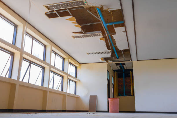 Best Carpet water damage restoration  in Portola Valley, CA