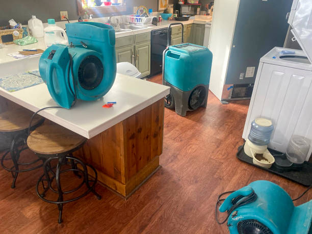 Best Commercial water damage restoration  in Portola Valley, CA