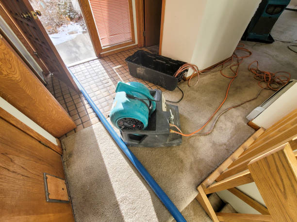 Best Professional water damage repair  in Portola Valley, CA