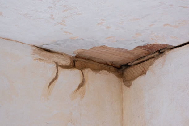 Trusted Portola Valley, CA Water damage restoration Experts