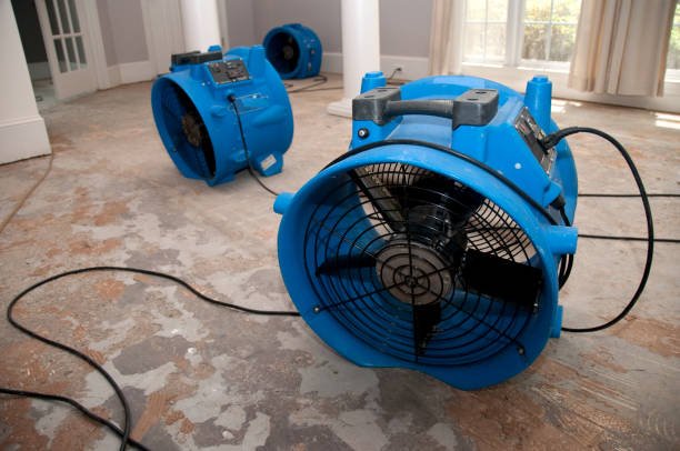  Portola Valley, CA Water damage restoration Pros