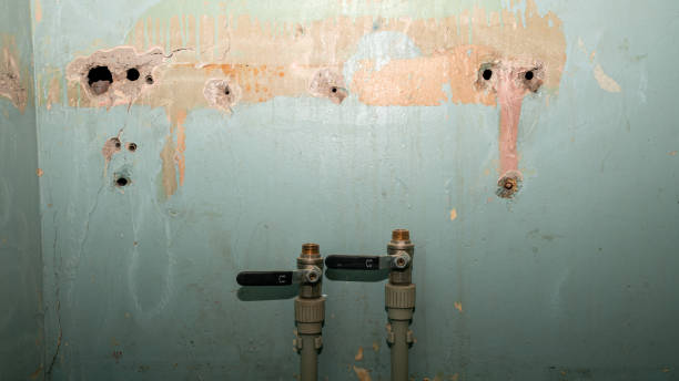 Best Ceiling water damage repair  in Portola Valley, CA