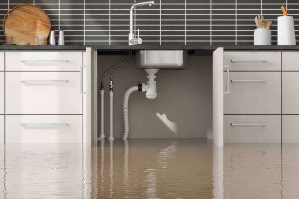 Best Water damage restoration cost  in Portola Valley, CA